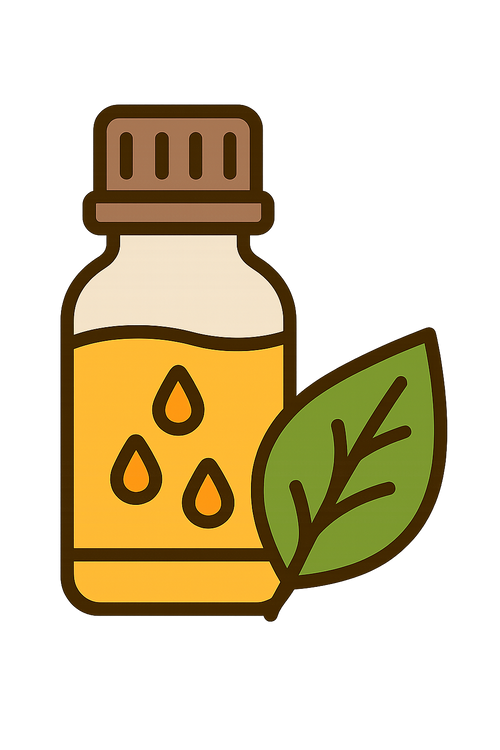 Beginner’s Essential Oil Handbook